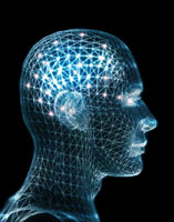 Conscious Mind