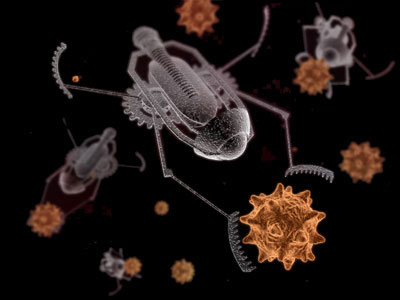Nanobot
