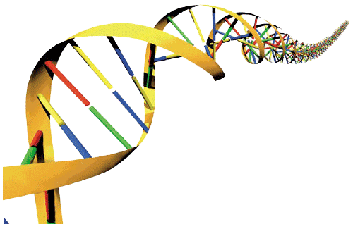 DNA